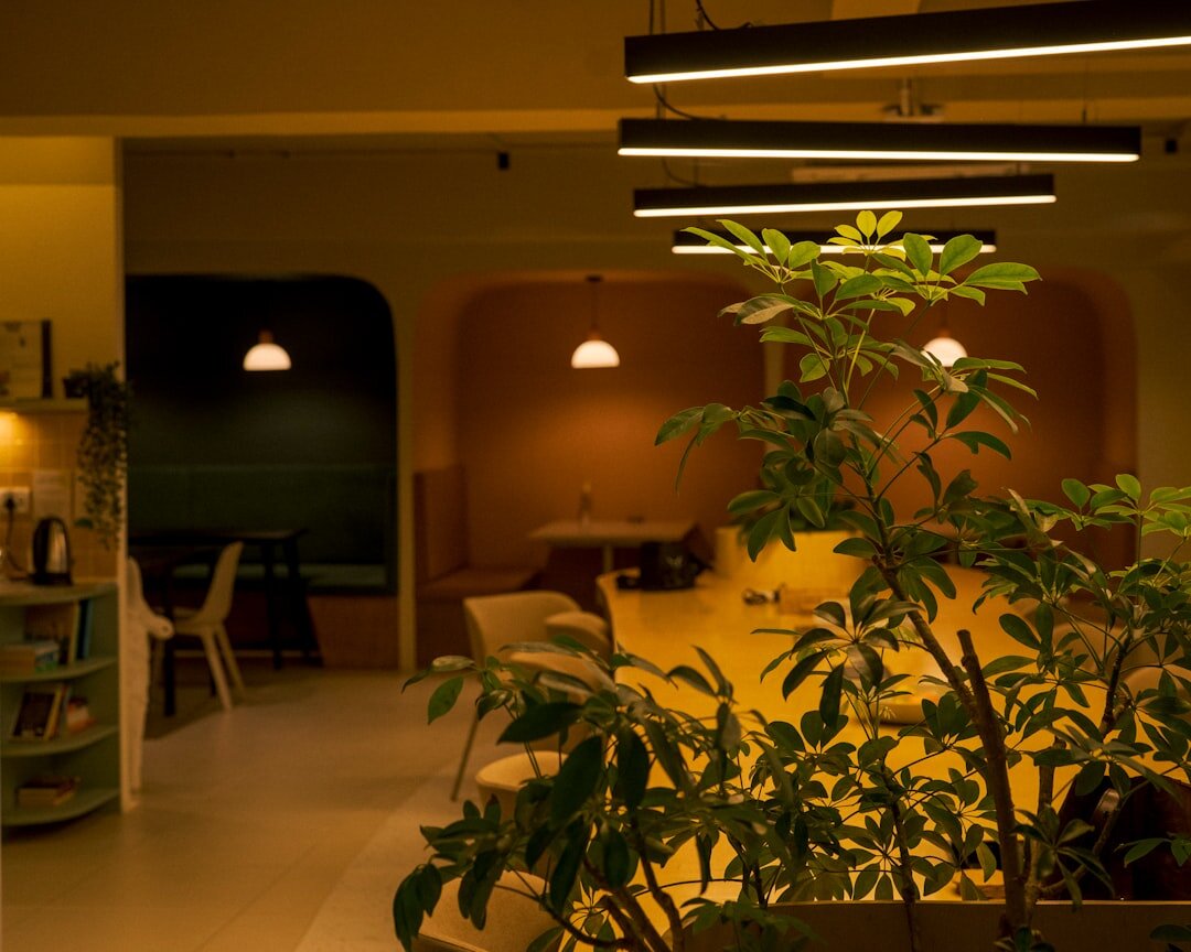 Modern bright office reception area with plants and wooden furniture